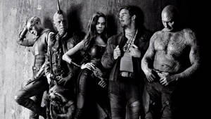 Guardians Of The Galaxy Members Wallpaper