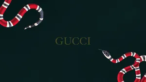 Gucci Snake Wallpaper Wallpaper
