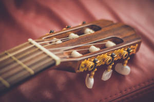 Guitar Headstock And Tuners Wallpaper