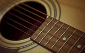 Guitar Strings And Fret Wires Wallpaper