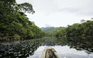 Guyana_ Riverboat_ Journey Wallpaper