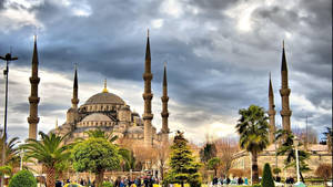 Hagia Sophia With Palm Trees Wallpaper