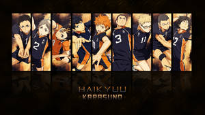 Haikyuu Karasuno Team Poster Wallpaper