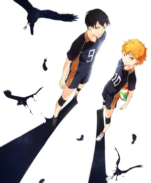Haikyuu_ Shadows_and_ Crows_ Anime_ Artwork Wallpaper