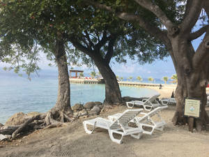 Haiti Beach Area Wallpaper