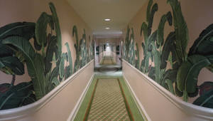 Hall Way Of Beverly Hills Hotel Wallpaper