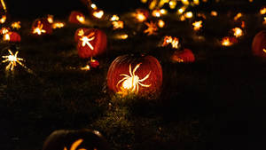 Halloween Pumpkin Lantern Spiders Wallpaper
