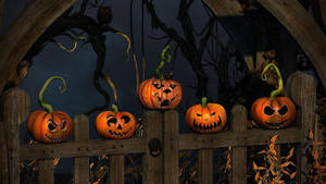 Halloween Pumpkins On Fence Wallpaper