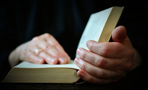 Hands Holding A Reference Book Wallpaper