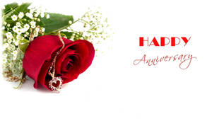 Happy Anniversary Message With Red Rose Wallpaper