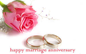 Happy Anniversary Pink Rose And Rings Wallpaper