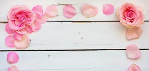 Happy Birthday Flowers Borders Wallpaper