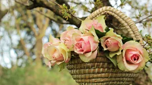 Happy Birthday Flowers On Tree Wallpaper