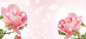 Happy Birthday Twin Flowers Wallpaper