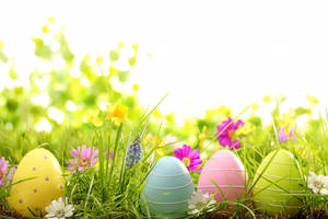 Happy Easter Sunday With Assorted Eggs On Grass Wallpaper