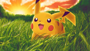 Happy Pikachu In The Field Wallpaper