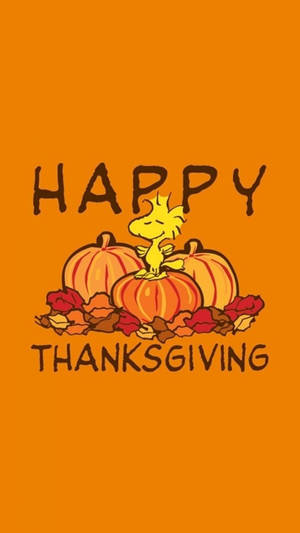 Happy Thanksgiving Woodstock And Pumpkins Wallpaper