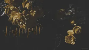 Harry Potter Aesthetic Hufflepuff Wallpaper