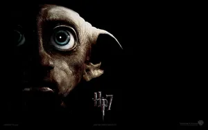 Harry Potter Dobby Close-up Wallpaper