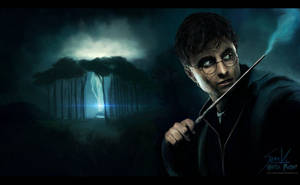 Harry Potter Fan Art Wallpaper