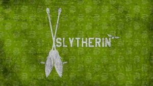 Harry Potter Houses Slytherin Quidditch Wallpaper