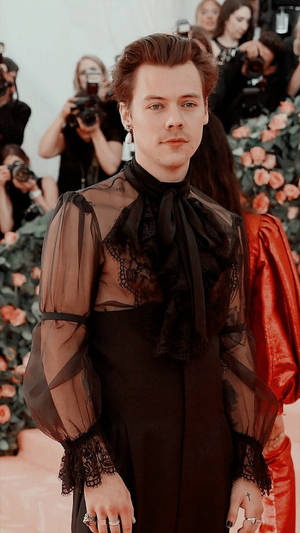 Harry Styles At The Met Gala Wallpaper