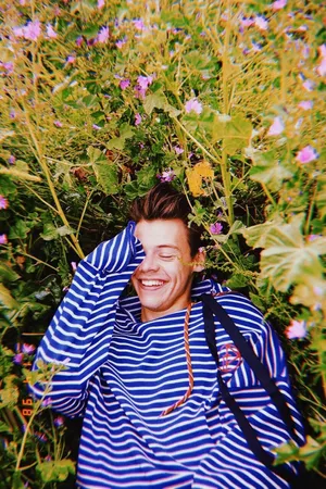 Harry Styles In Flower Field Wallpaper