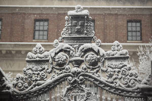 Harvard University Architecture Wallpaper