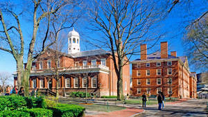 Harvard University Campus Wallpaper