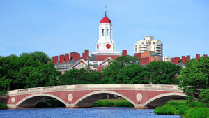 Harvard University John W. Weeks Footbridge Wallpaper