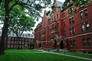 Harvard University Red Building Wallpaper