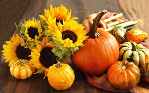 Harvest During Fall Season Wallpaper