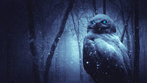 Haunting Winter Aesthetic Owl Wallpaper