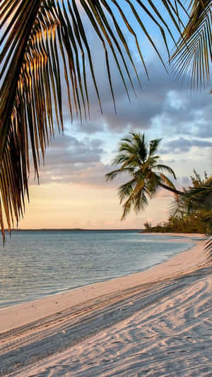 Hawaii Beach During Sunrise Iphone Wallpaper
