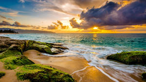 Hawaii Beach Sunset 4k Hd Wallpaper
