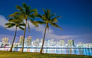 Hawaii Honolulu Lake Palm Trees Wallpaper