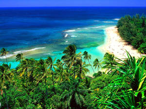Hawaii Kauai Island Wallpaper
