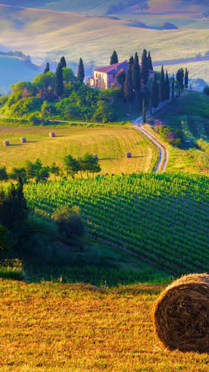 Hay Bale In Tuscany Italy Wallpaper