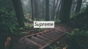 Hd Aesthetic Hypebeast Wallpaper