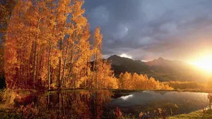 Hd Autumn Lake Wallpaper