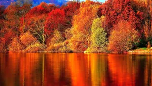 Hd Autumn Water Reflection Wallpaper