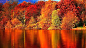 Hd Autumn Water Reflection Wallpaper