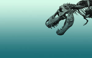 Hd Blue Aesthetic Skeletal Dinosaur Wallpaper