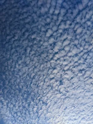Hd Cirrocumulus Cloud Wallpaper