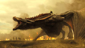 Hd Fire Dragon Of Game Of Thrones Wallpaper
