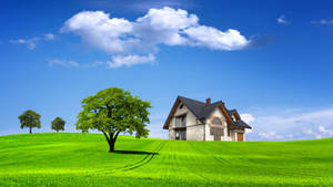 Hd House In Green Field Wallpaper