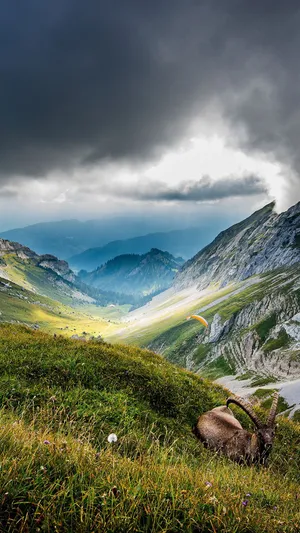 Hd Nature Landscape Portrait Wallpaper