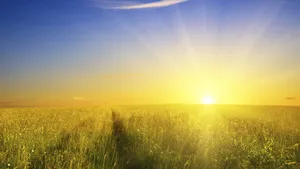 Hd Rising Sun Wallpaper