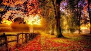 Hd Scenic Fall Autumn Wallpaper