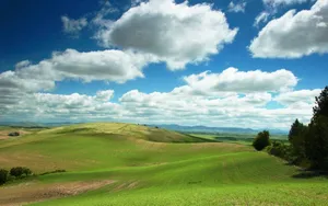 Hd Wallpaper For Windows Xp Wallpaper